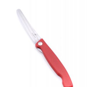 Victorinox Swiss Classic Red Foldable Knife