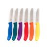 Victorinox Set Colorato da Tavola Dentato Punta Tonda coltellipersonalizzati.com 1 scaled 1.jpg