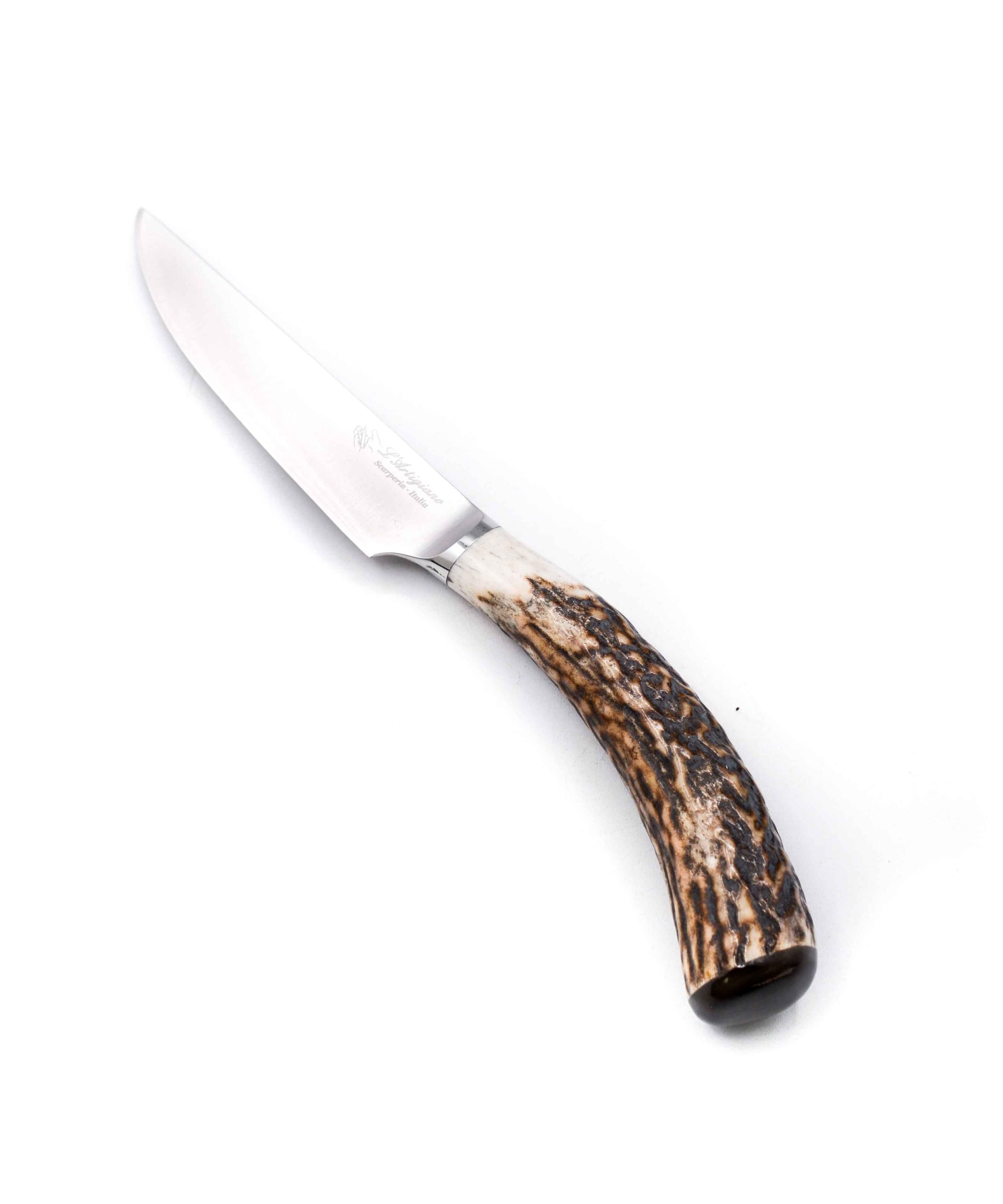 A.S. Set 12pz Bistecca Legni vari e Corno coltellipersonalizzati.com 13 scaled 1.jpg A.S. Set 12pz Bistecca Legni vari e Corno coltellipersonalizzati.com 13 scaled 1.jpg