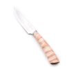 A.S. Set 12pz Bistecca Legni vari e Corno coltellipersonalizzati.com 7 scaled 1.jpg
