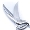M.F. Forbici Trinciapolli Gazzella Inox coltellipersonalizzati.com 3.jpg
