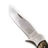 M.F. Germano Reale t. INOX Corno Antico coltellipersonalizzati.com 5 scaled 1.jpg