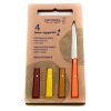 Opinel Set Bistecca Agrumi 4pz coltellipersonalizzati.com 1 scaled 1.jpg