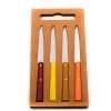 Opinel Set Bistecca Agrumi 4pz coltellipersonalizzati.com 2 scaled 1.jpg