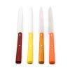 Opinel Set Bistecca Agrumi 4pz coltellipersonalizzati.com 3 scaled 1.jpg