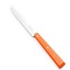 Opinel Set Bistecca Agrumi 4pz coltellipersonalizzati.com 6 scaled 1.jpg