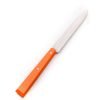 Opinel Set Bistecca Agrumi 4pz coltellipersonalizzati.com 7 scaled 1.jpg