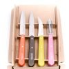 Opinel set Essentials coltellipersonalizzati.com 1.jpg