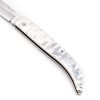 Piscitelli Gobbo 20cm Tutto INOX coltellipersonalizzati.com 2 scaled 1.jpg