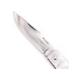 Piscitelli Gobbo 20cm Tutto INOX coltellipersonalizzati.com 3 scaled 1.jpg